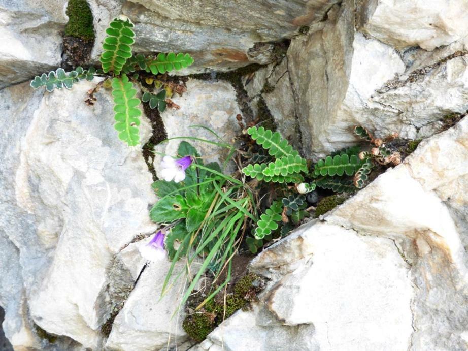 Nestos, Meer Und Berge - Griechenland Mal Anders Zarkadhiá Kültér fotó